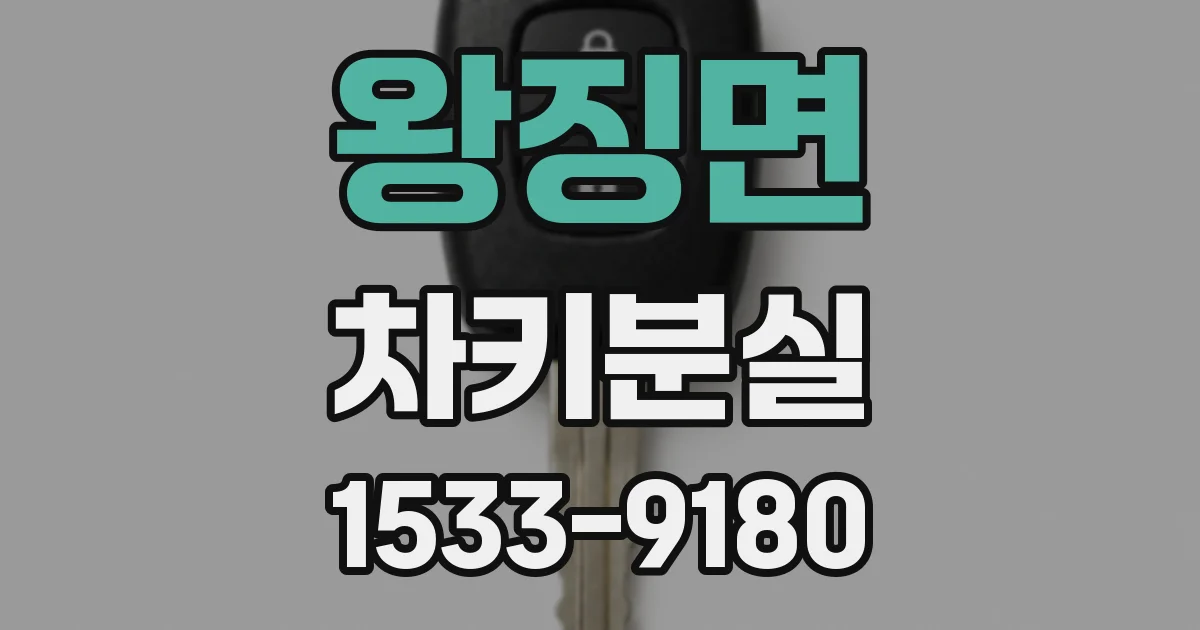 왕징면 차키분실