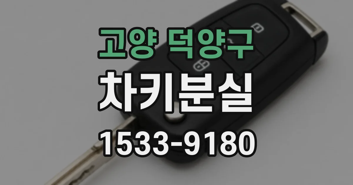 고양 덕양구 차키분실