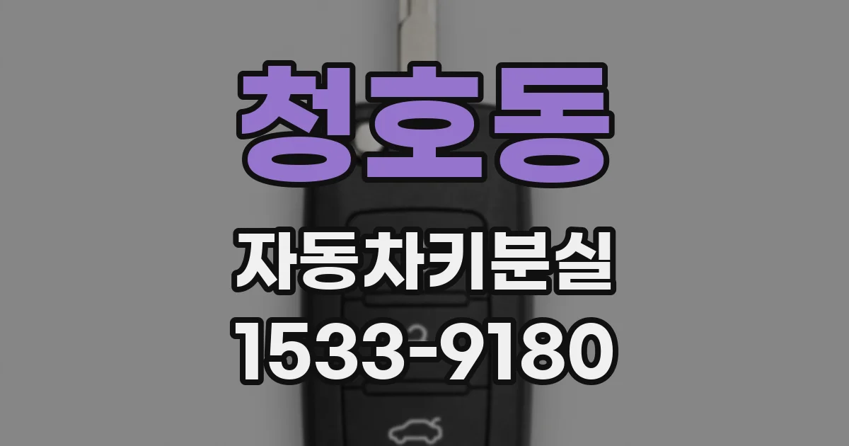 청호동 자동차키분실