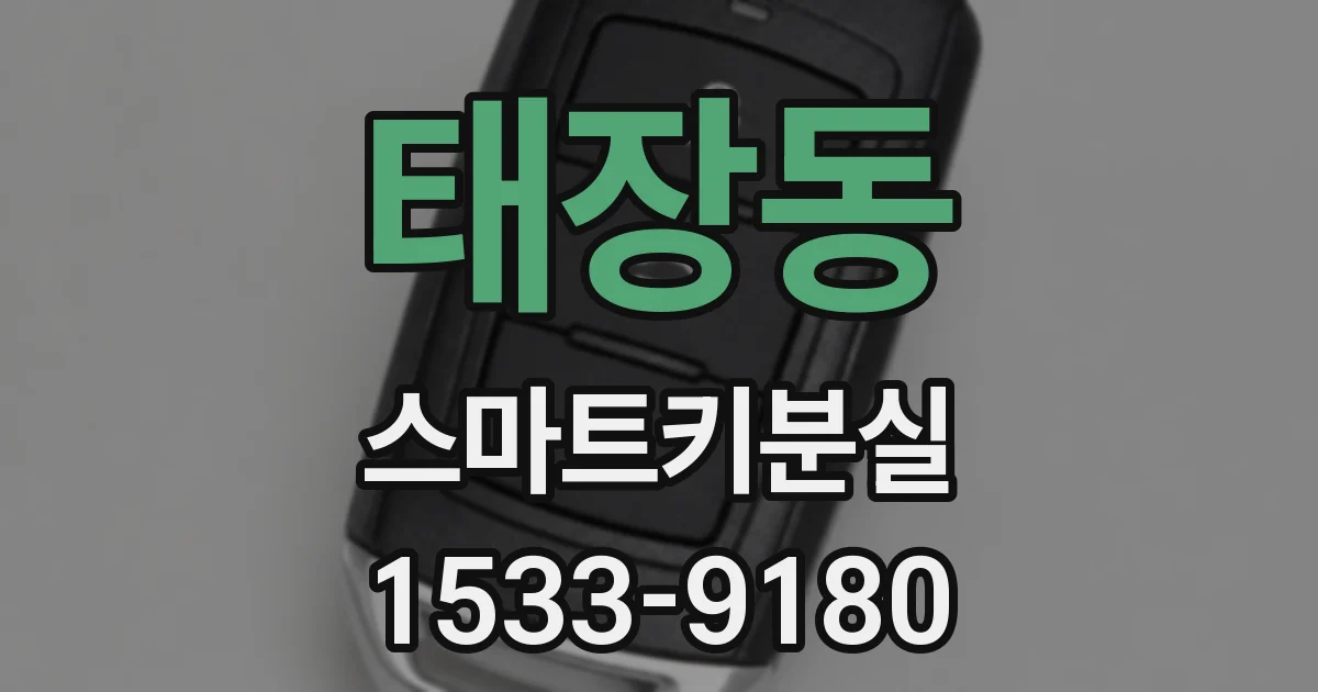 태장동 스마트키분실
