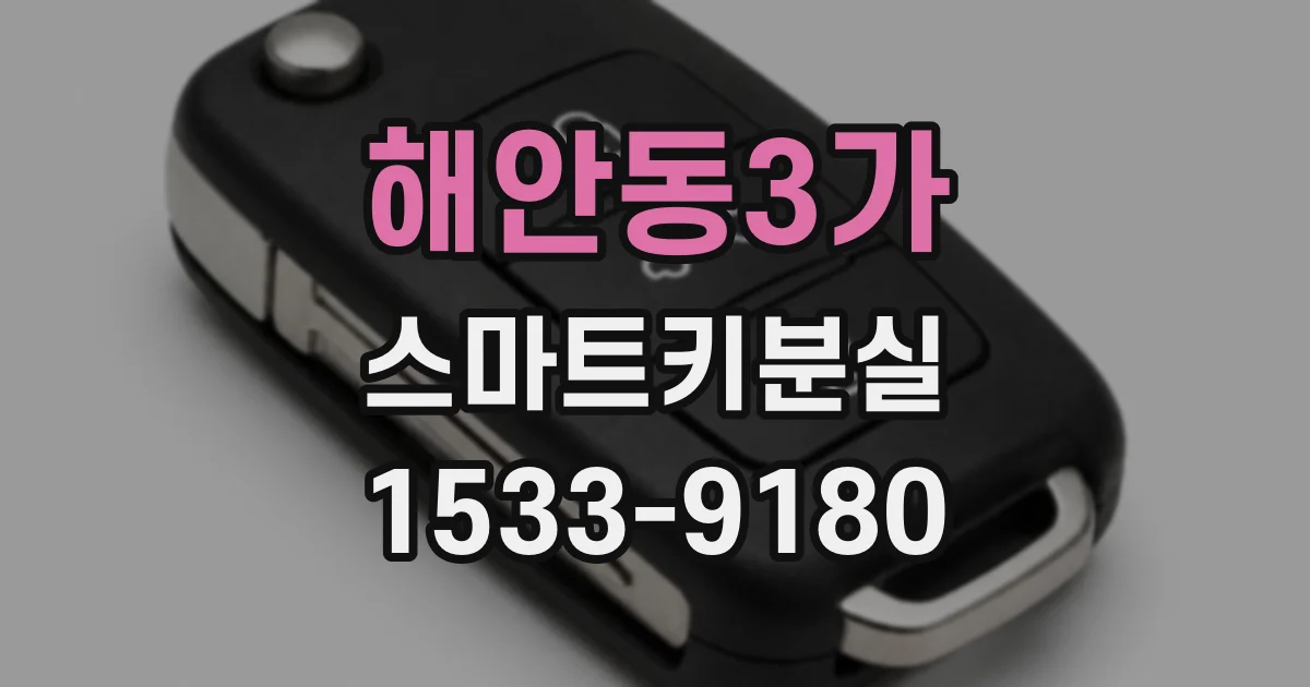해안동3가 스마트키분실