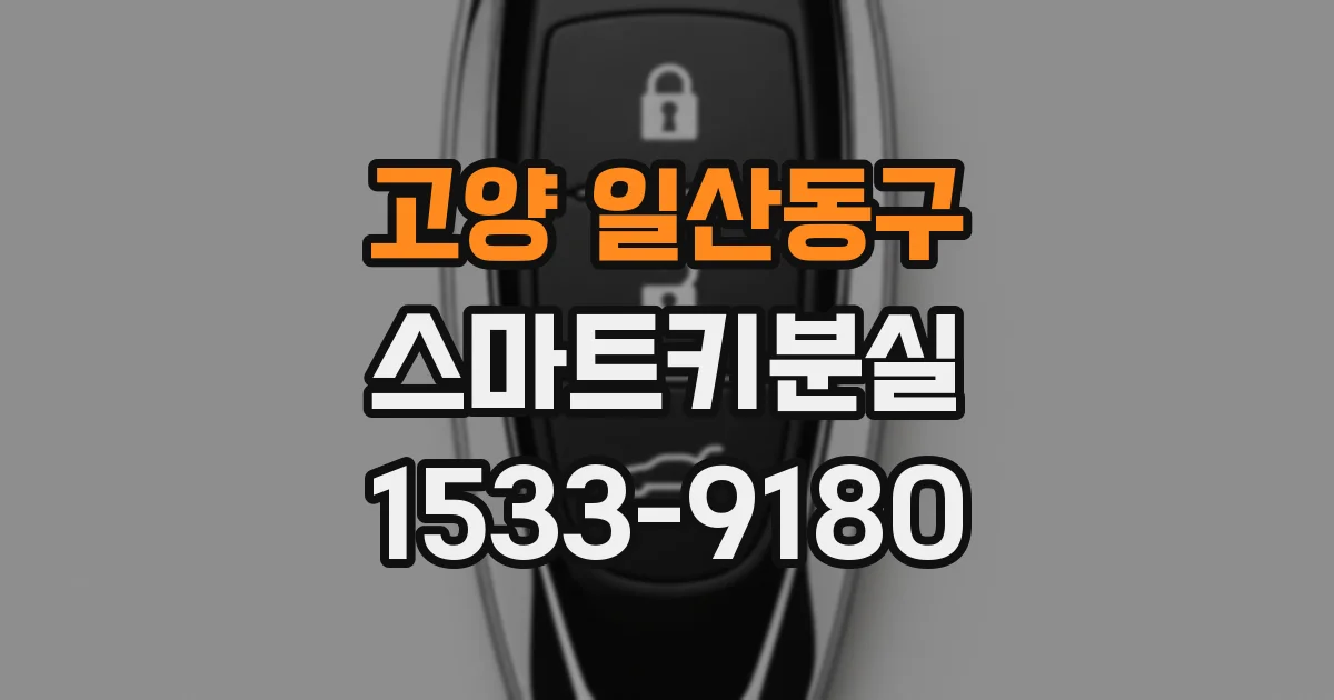 고양 일산동구 스마트키분실