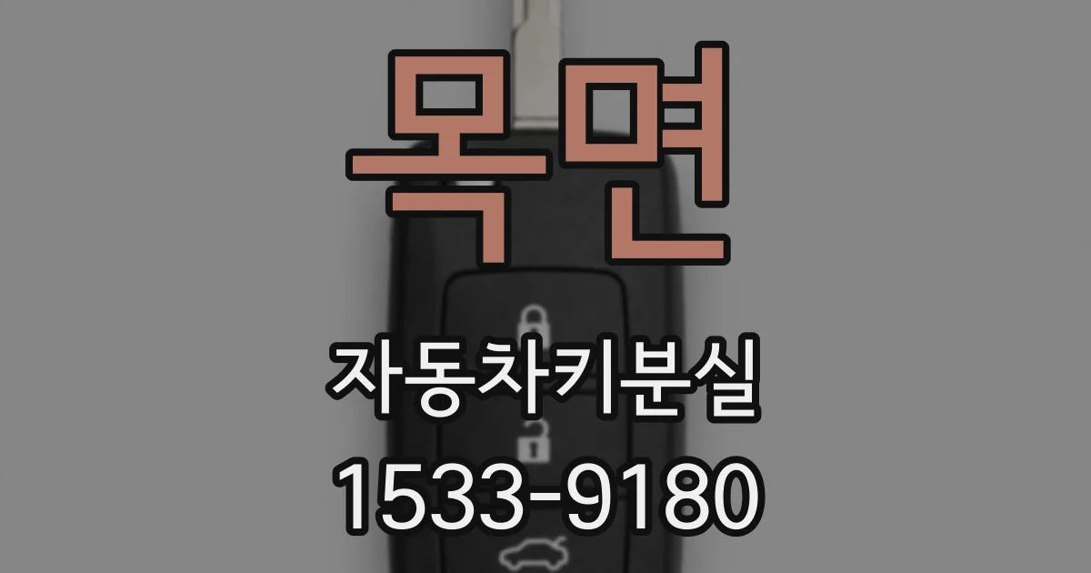 목면 자동차키분실