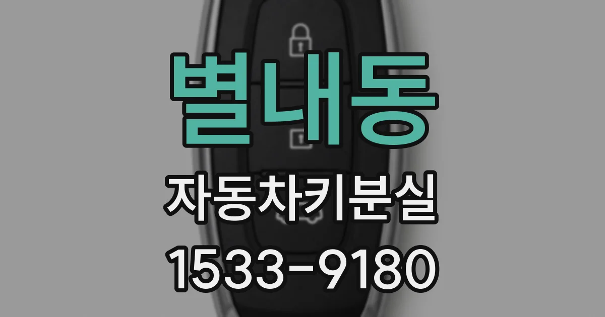 별내동 자동차키분실