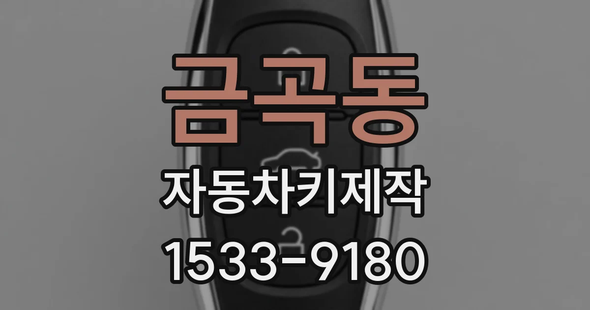 금곡동 자동차키제작