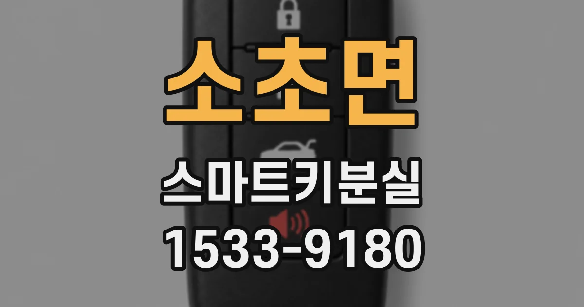 소초면 스마트키분실