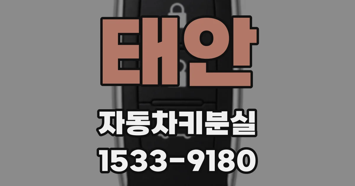 태안 자동차키분실