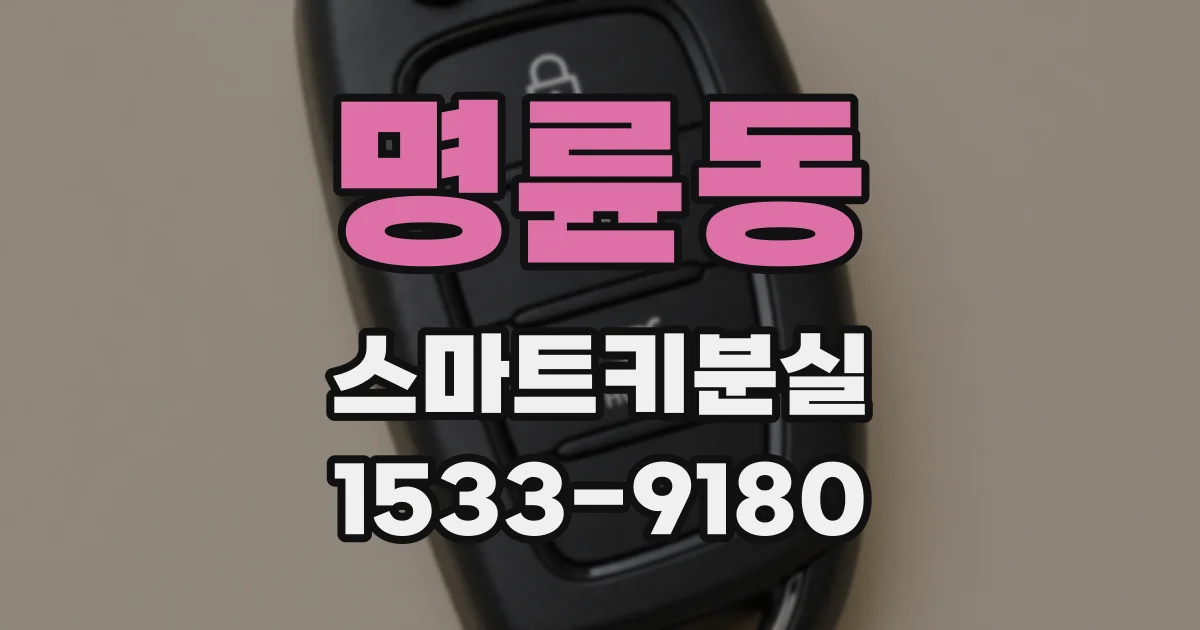 명륜동 스마트키분실