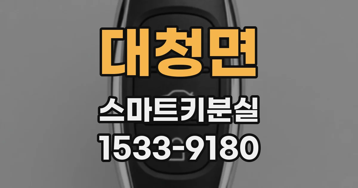 대청면 스마트키분실