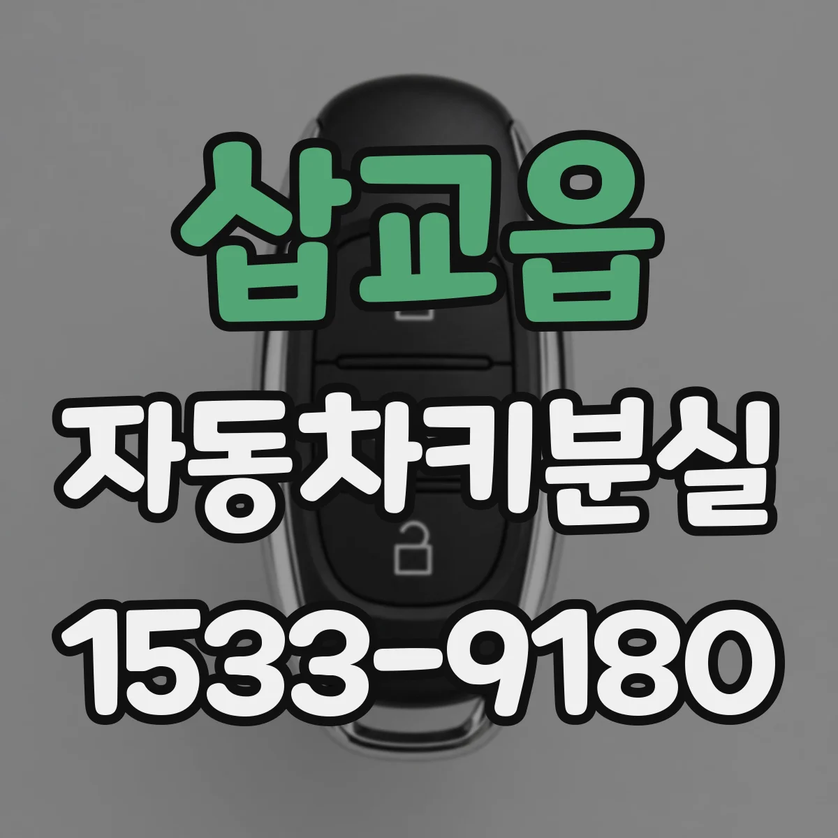 삽교읍 자동차키분실