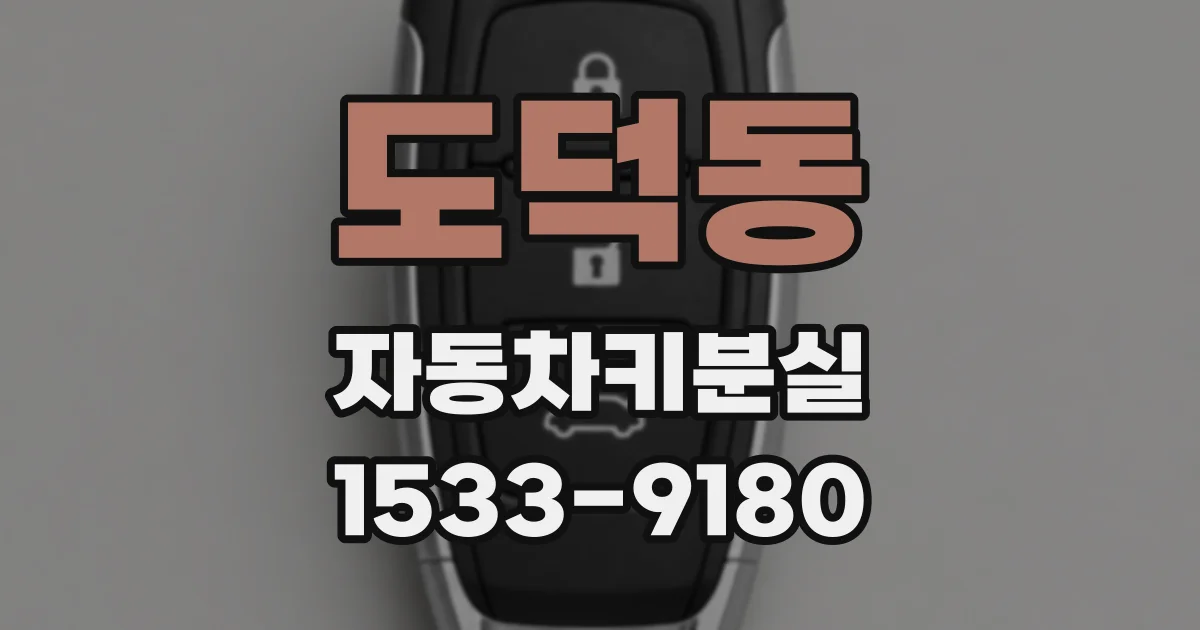 도덕동 자동차키분실