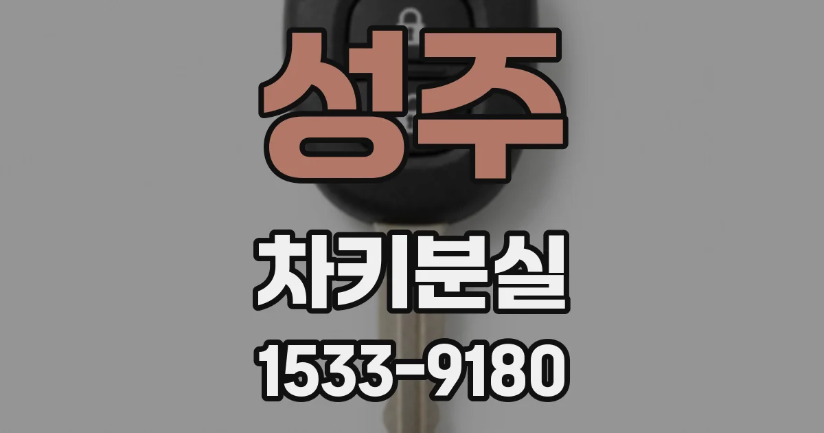 성주 차키분실