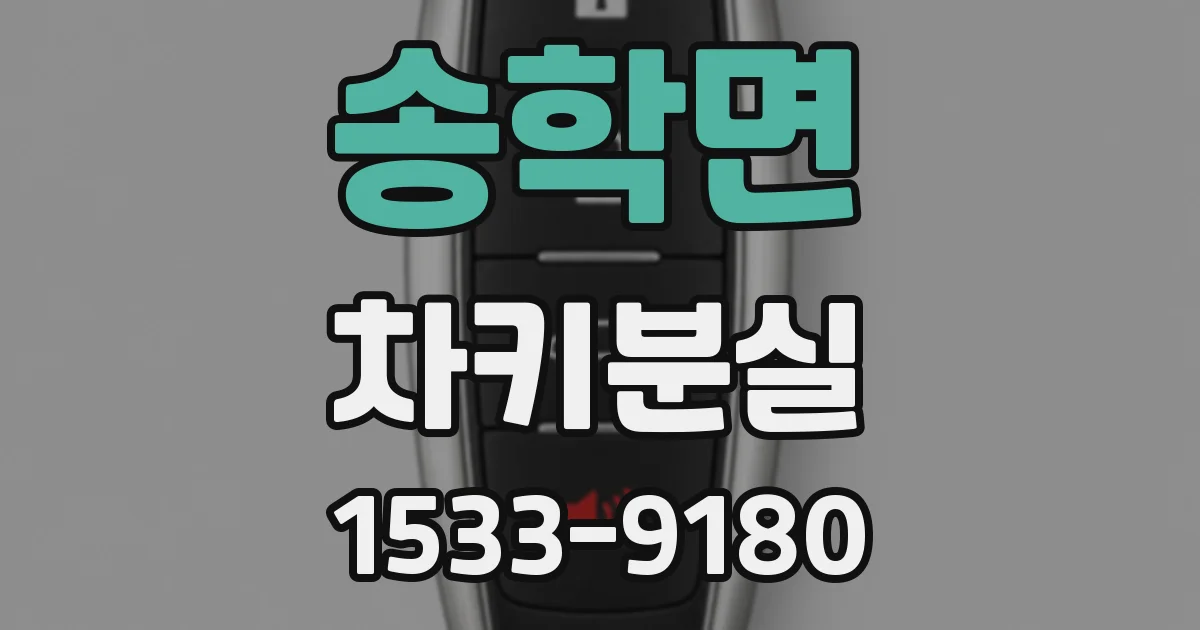송학면 차키분실