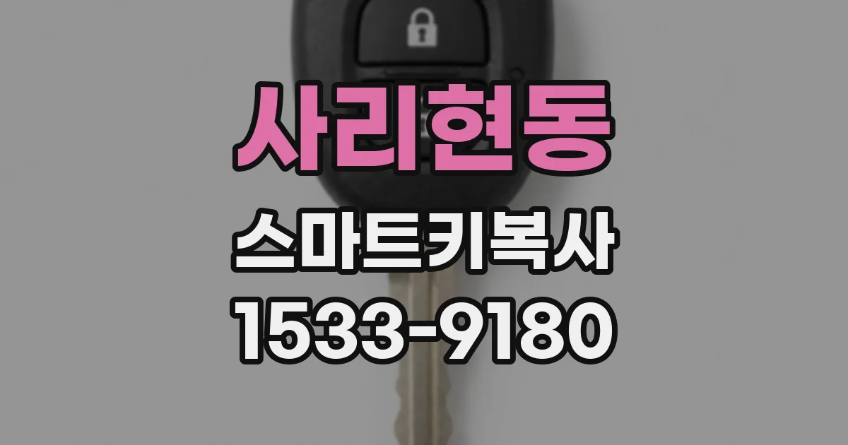 사리현동 스마트키복사
