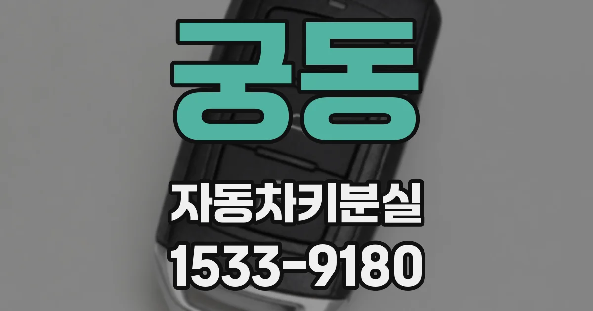 궁동 자동차키분실