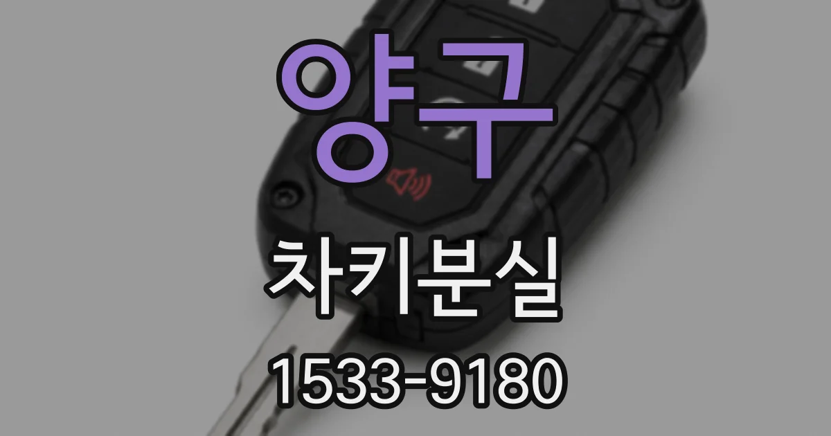 양구 차키분실