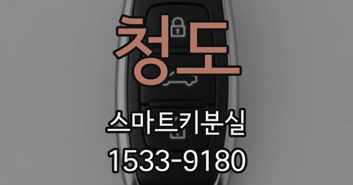 청도 스마트키분실