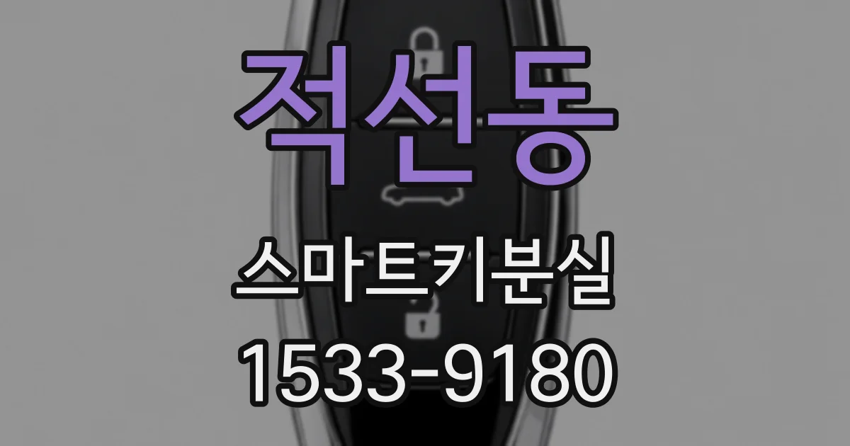 적선동 스마트키분실