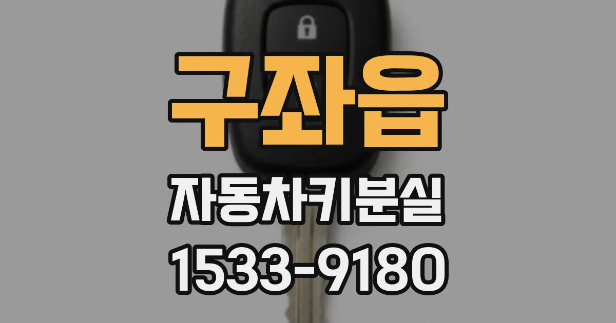 구좌읍 자동차키분실