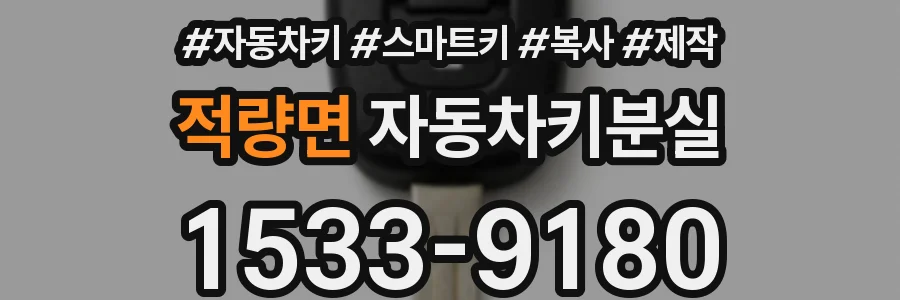 적량면 자동차키분실