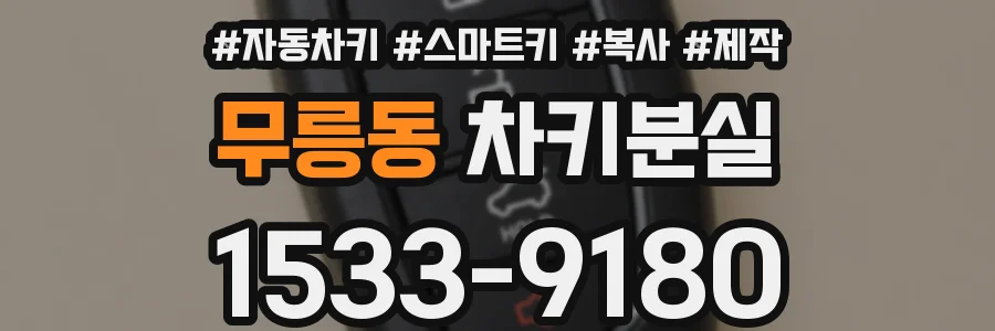 무릉동 차키분실