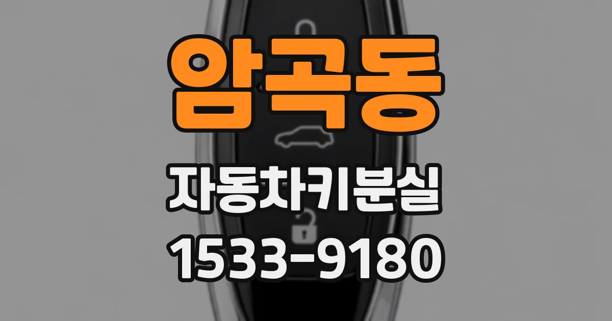 암곡동 자동차키분실