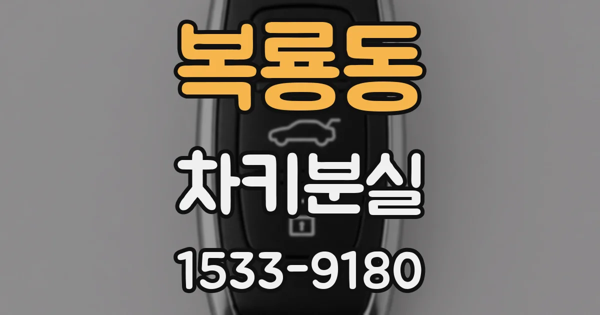 복룡동 차키분실