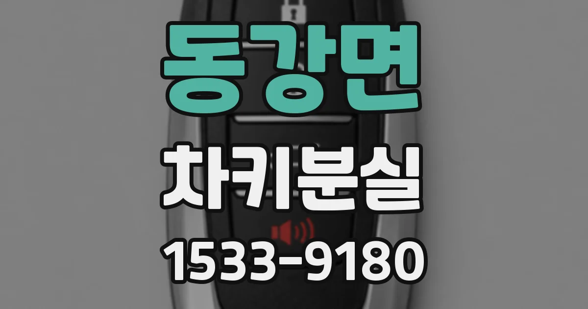 동강면 차키분실