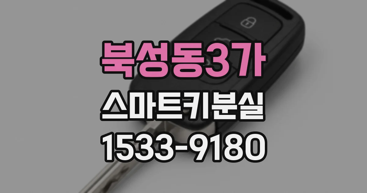 북성동3가 스마트키분실