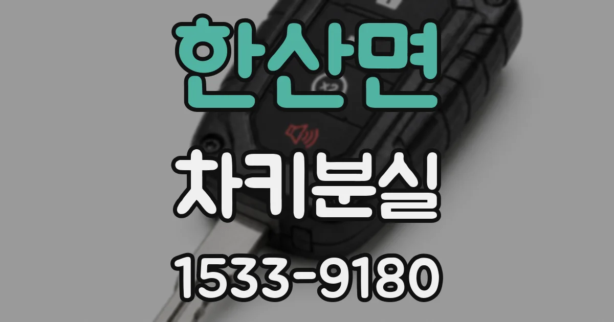 한산면 차키분실