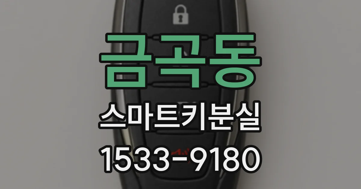금곡동 스마트키분실