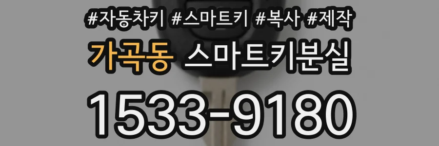 가곡동 스마트키분실