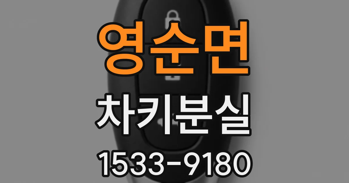 영순면 차키분실