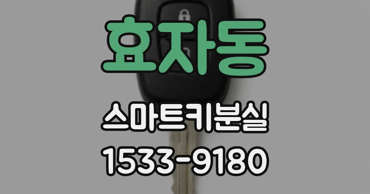 효자동 스마트키분실