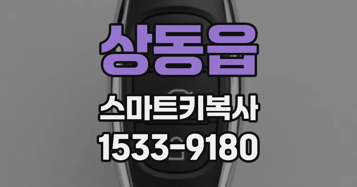 상동읍 스마트키복사
