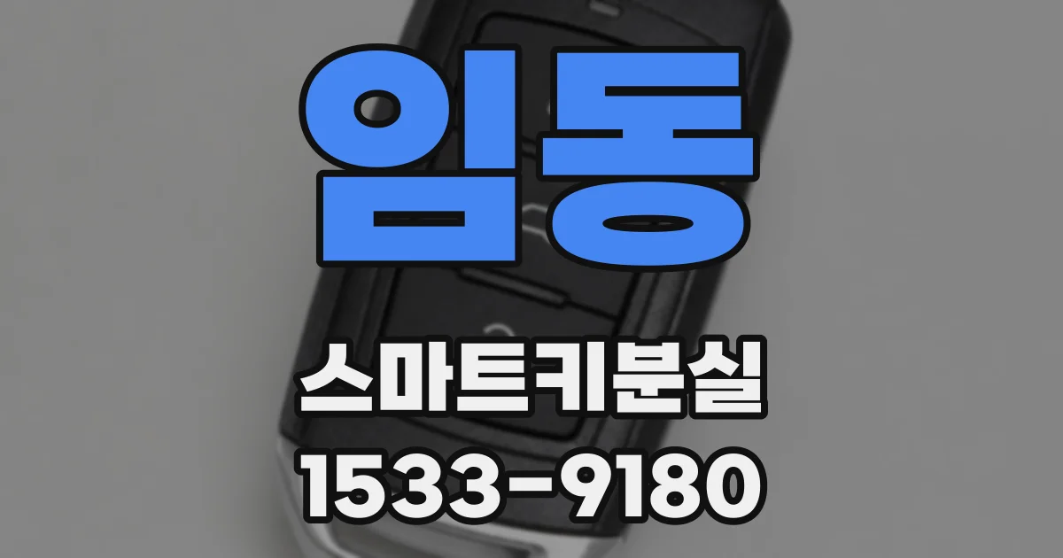 임동 스마트키분실