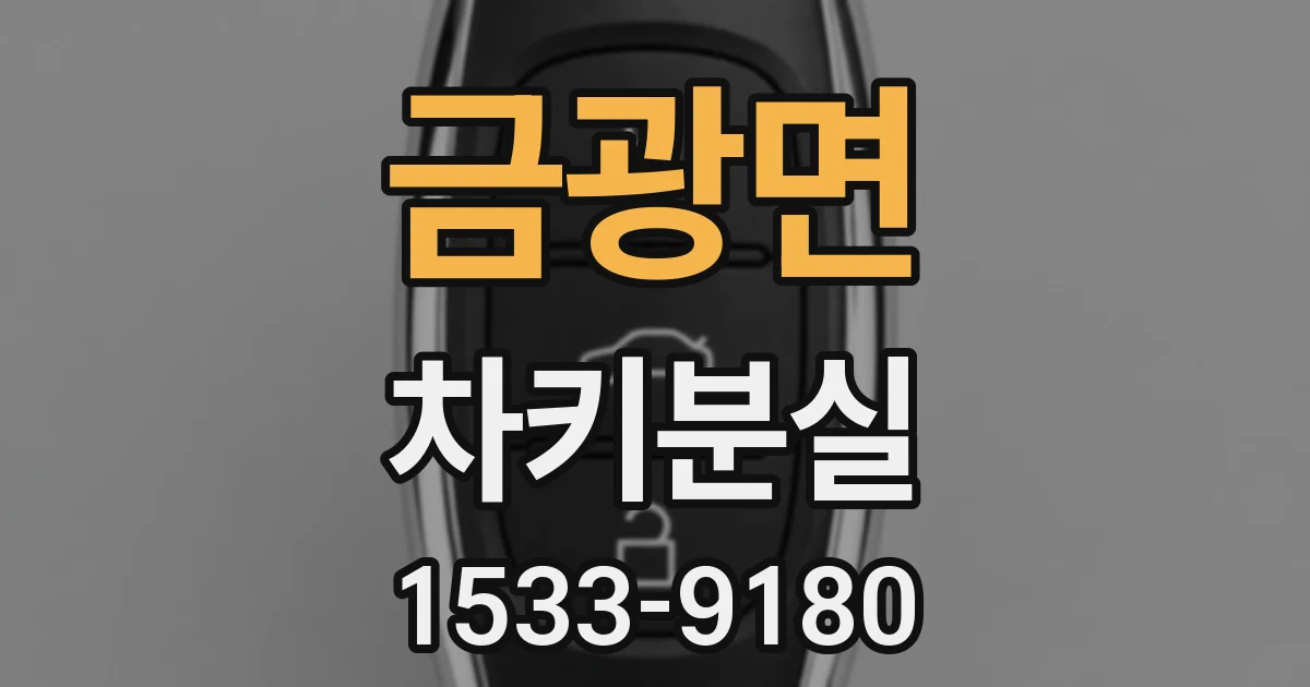 금광면 차키분실