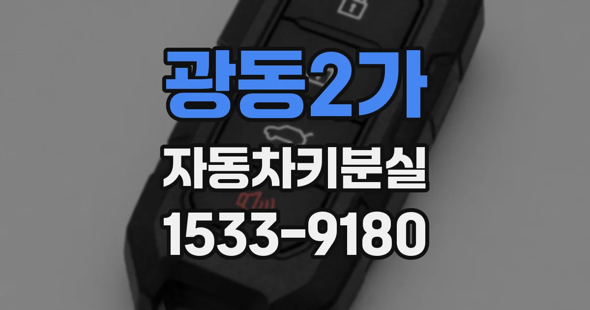 광동2가 자동차키분실