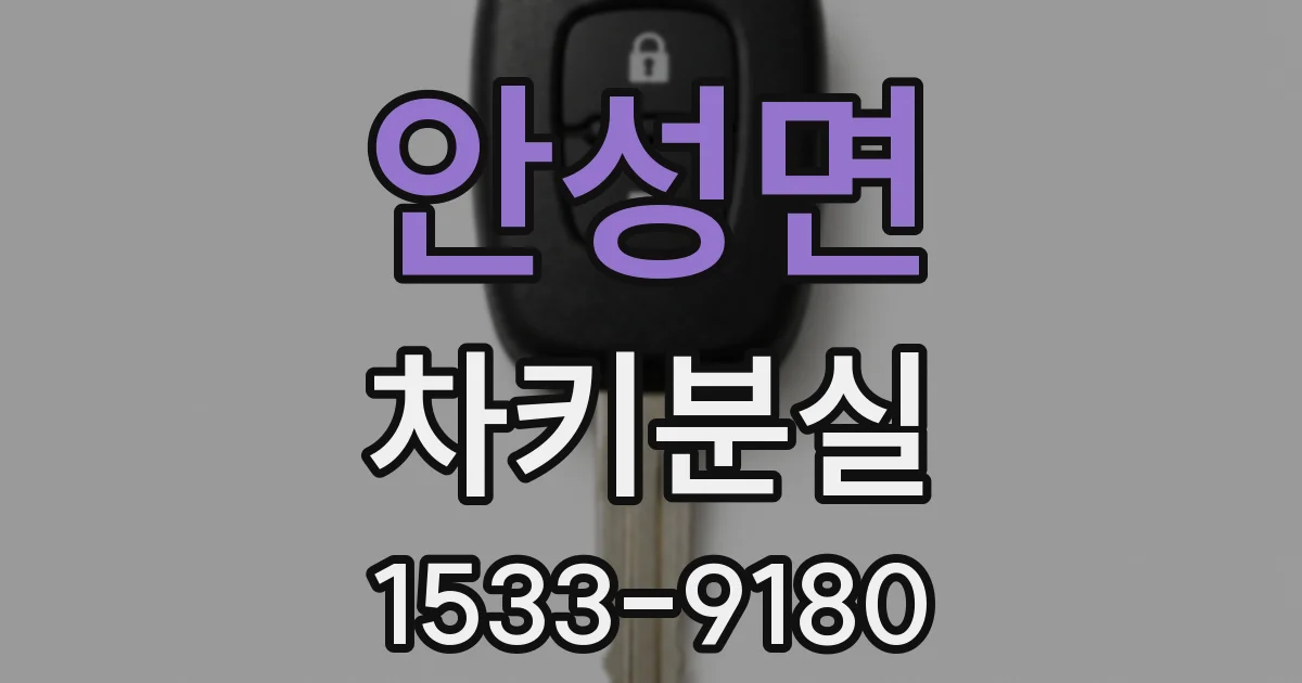 안성면 차키분실