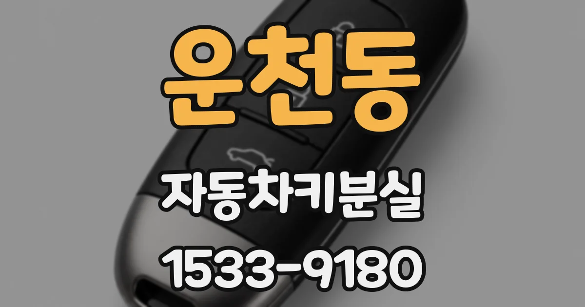 운천동 자동차키분실