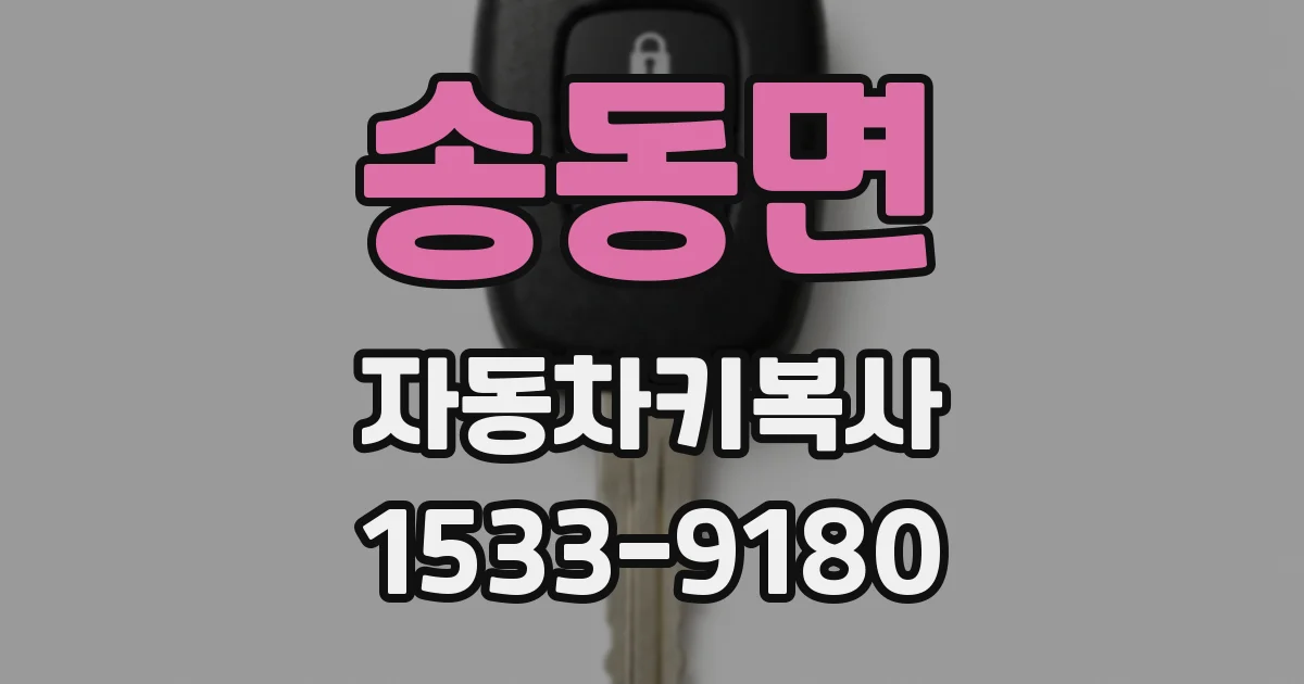 송동면 자동차키복사