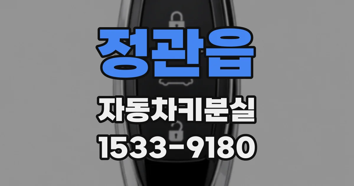 정관읍 자동차키분실