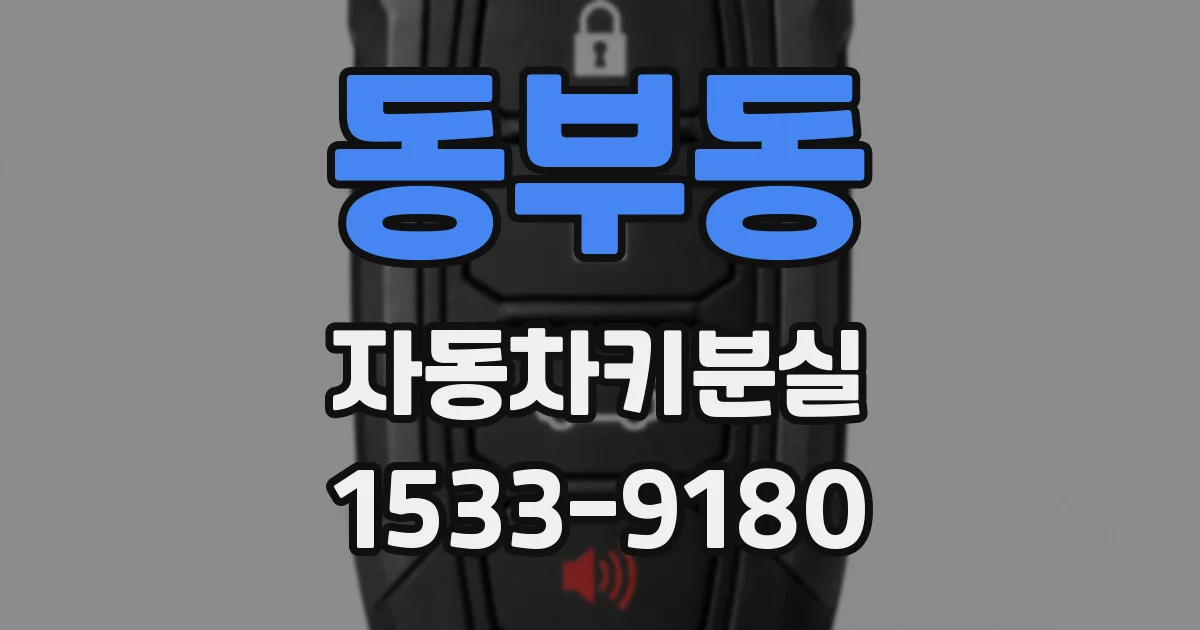 동부동 자동차키분실