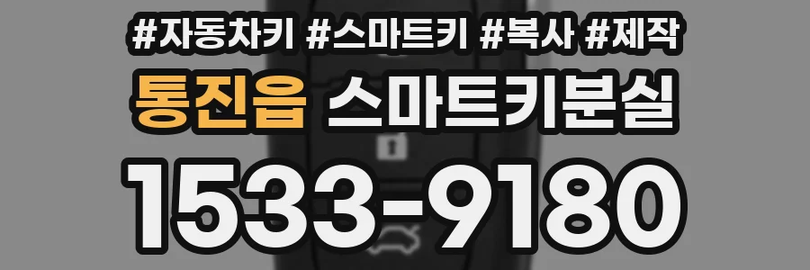 통진읍 스마트키분실