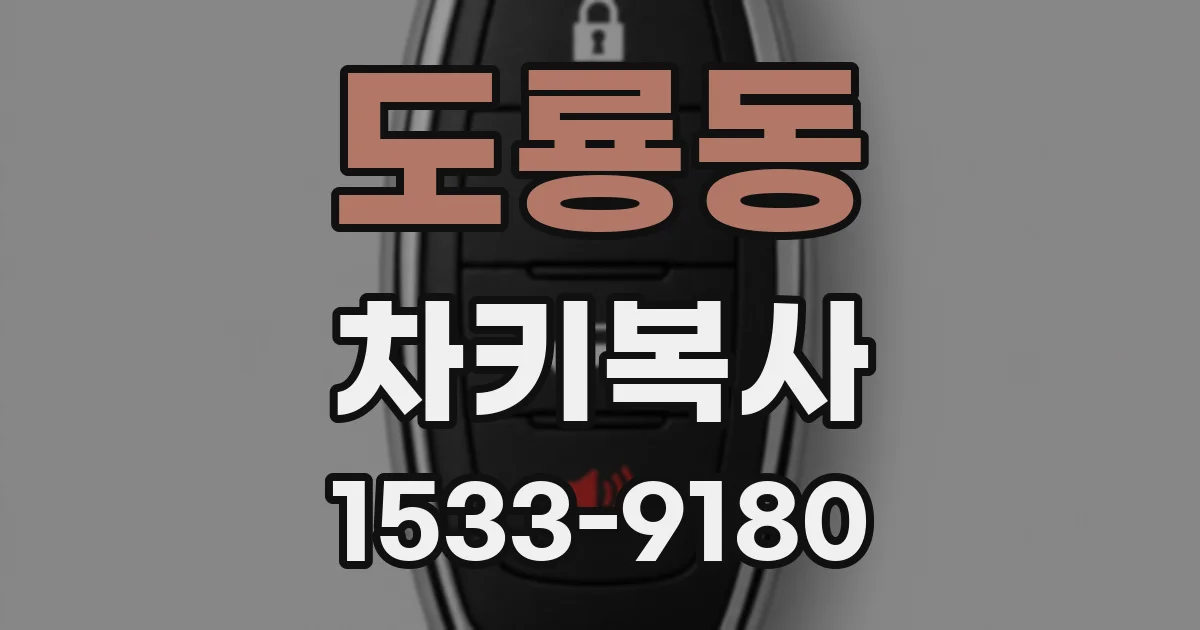 도룡동 차키복사