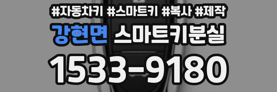 강현면 스마트키분실