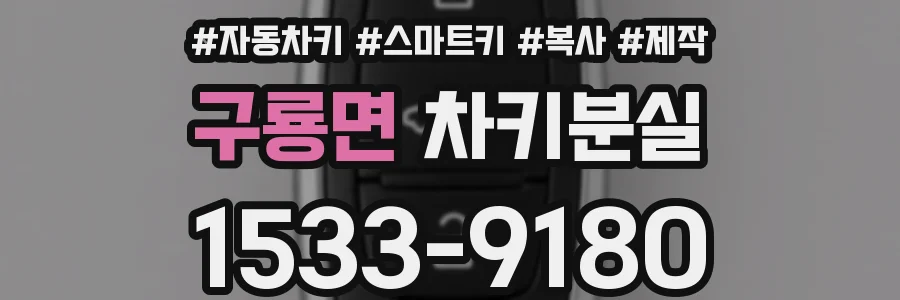 구룡면 차키분실