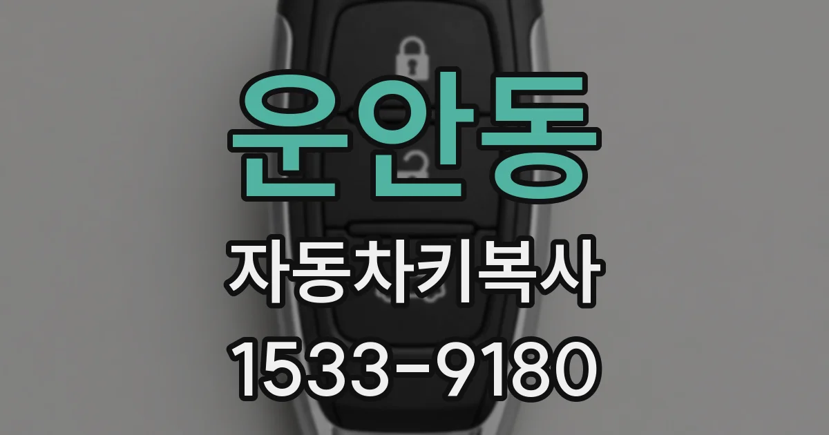 운안동 자동차키복사