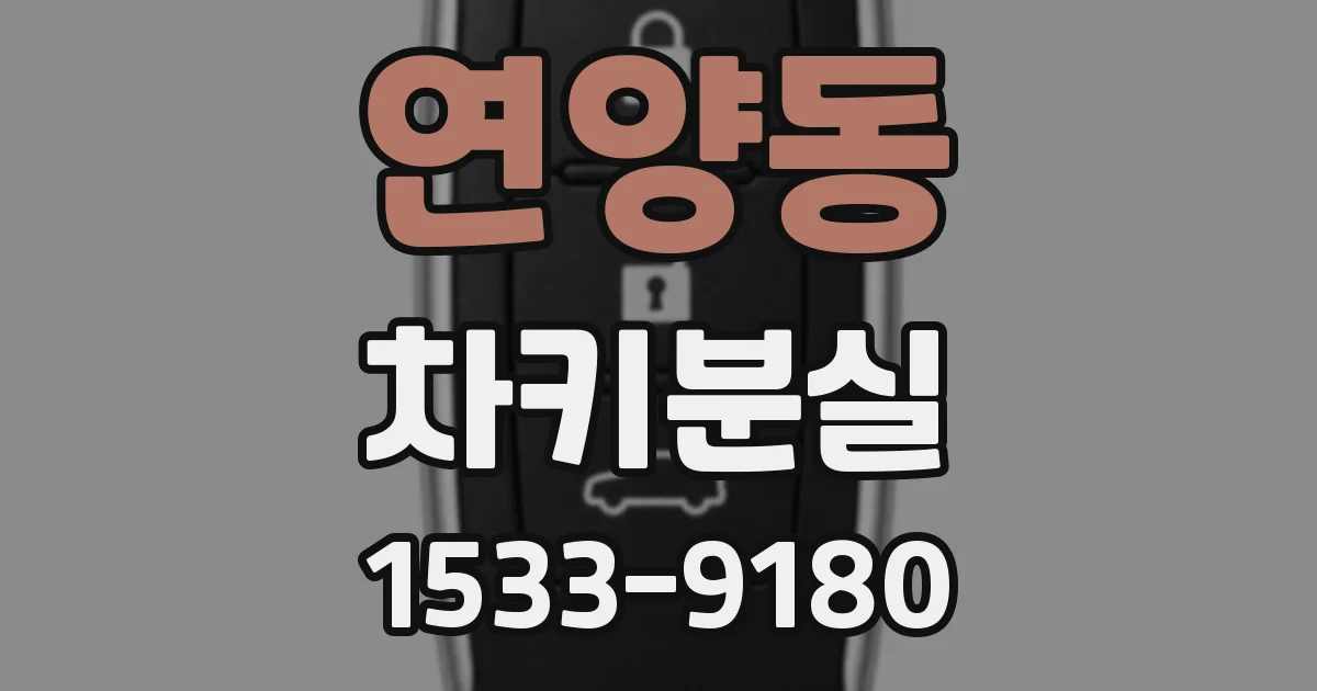 연양동 차키분실