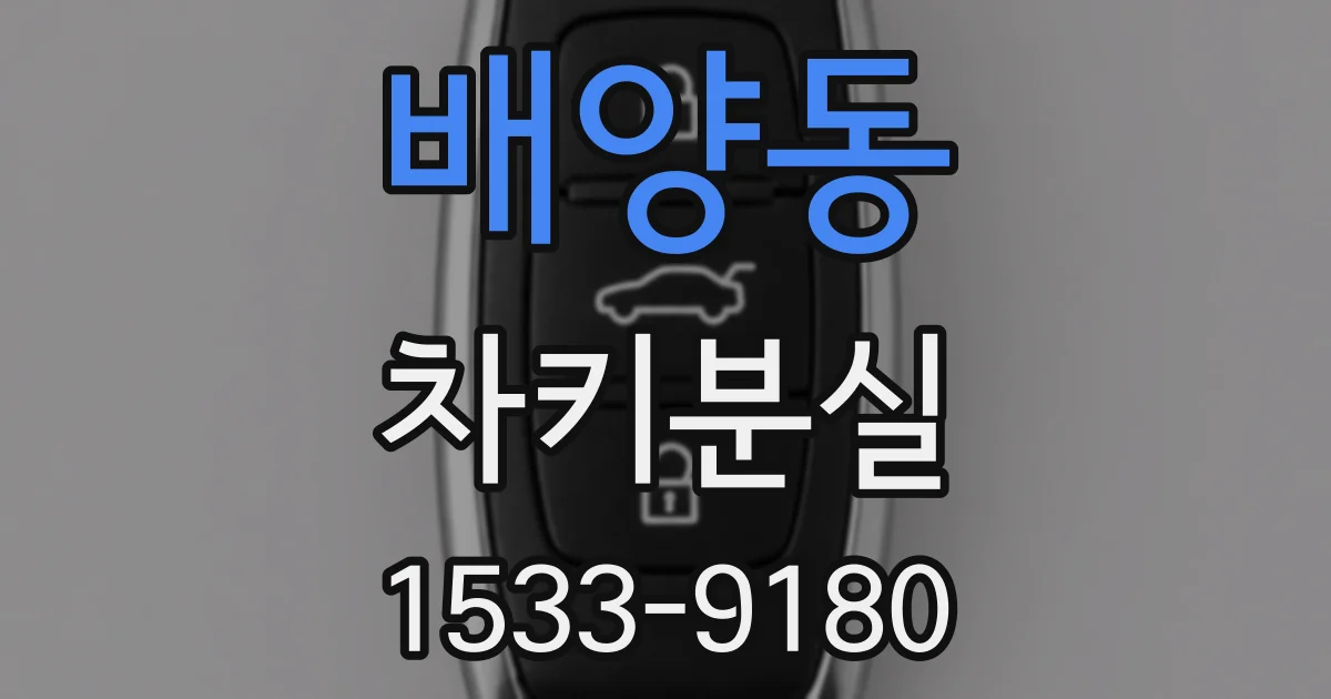 배양동 차키분실